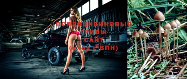 винт Новодвинск