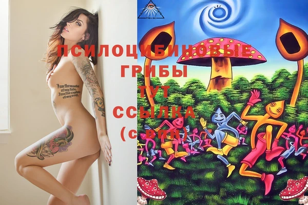 apvp Вуктыл