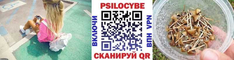 Псилоцибиновые грибы мухоморы  Ясногорск 